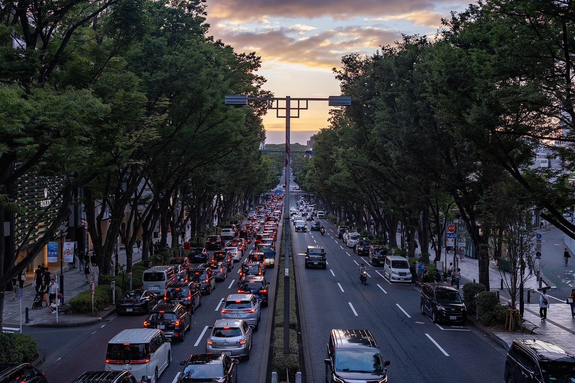 夕暮れの表参道のケヤキ並木
