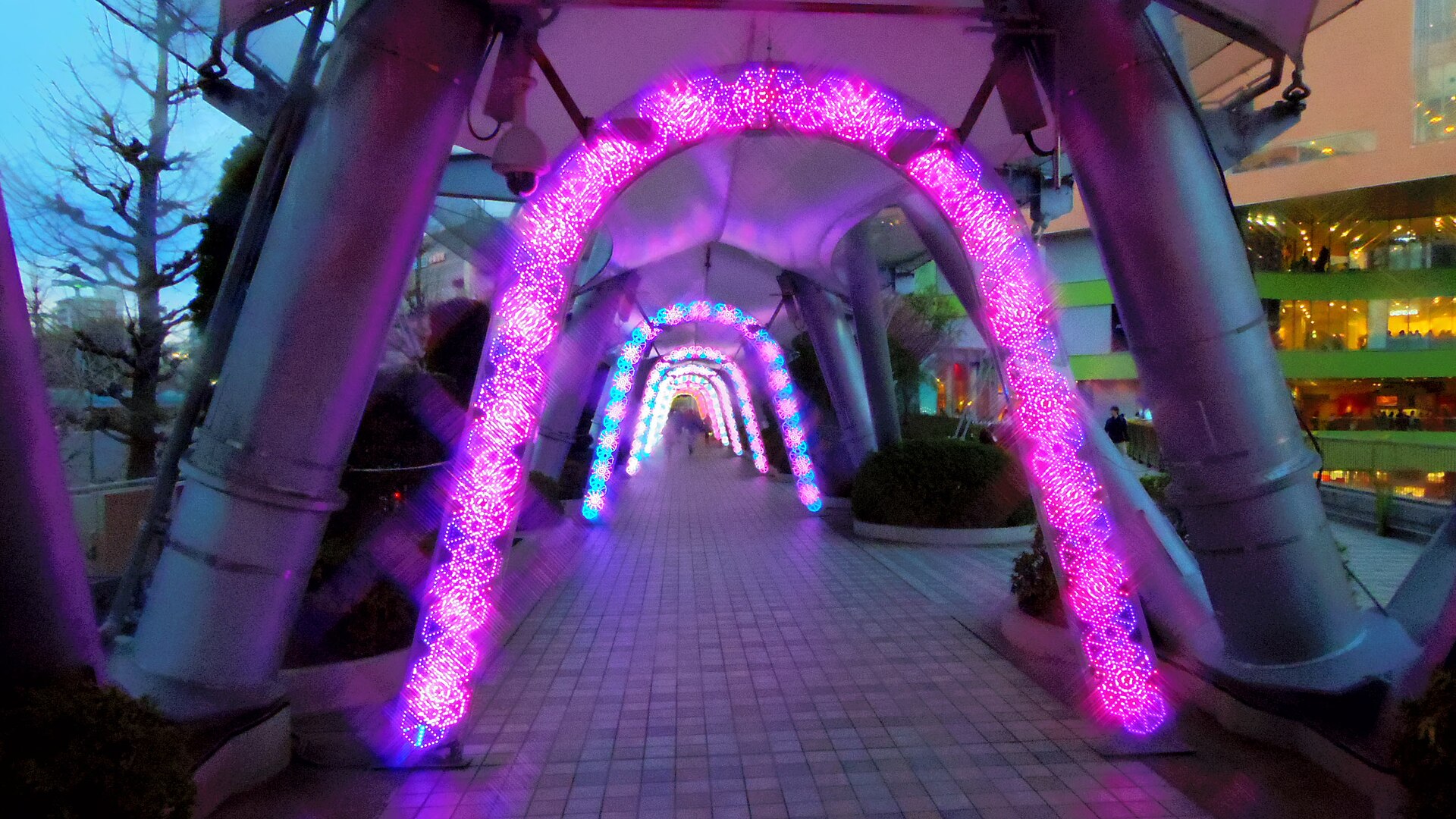 東京ドームシティのウィンターイルミネーション（2016年撮影）