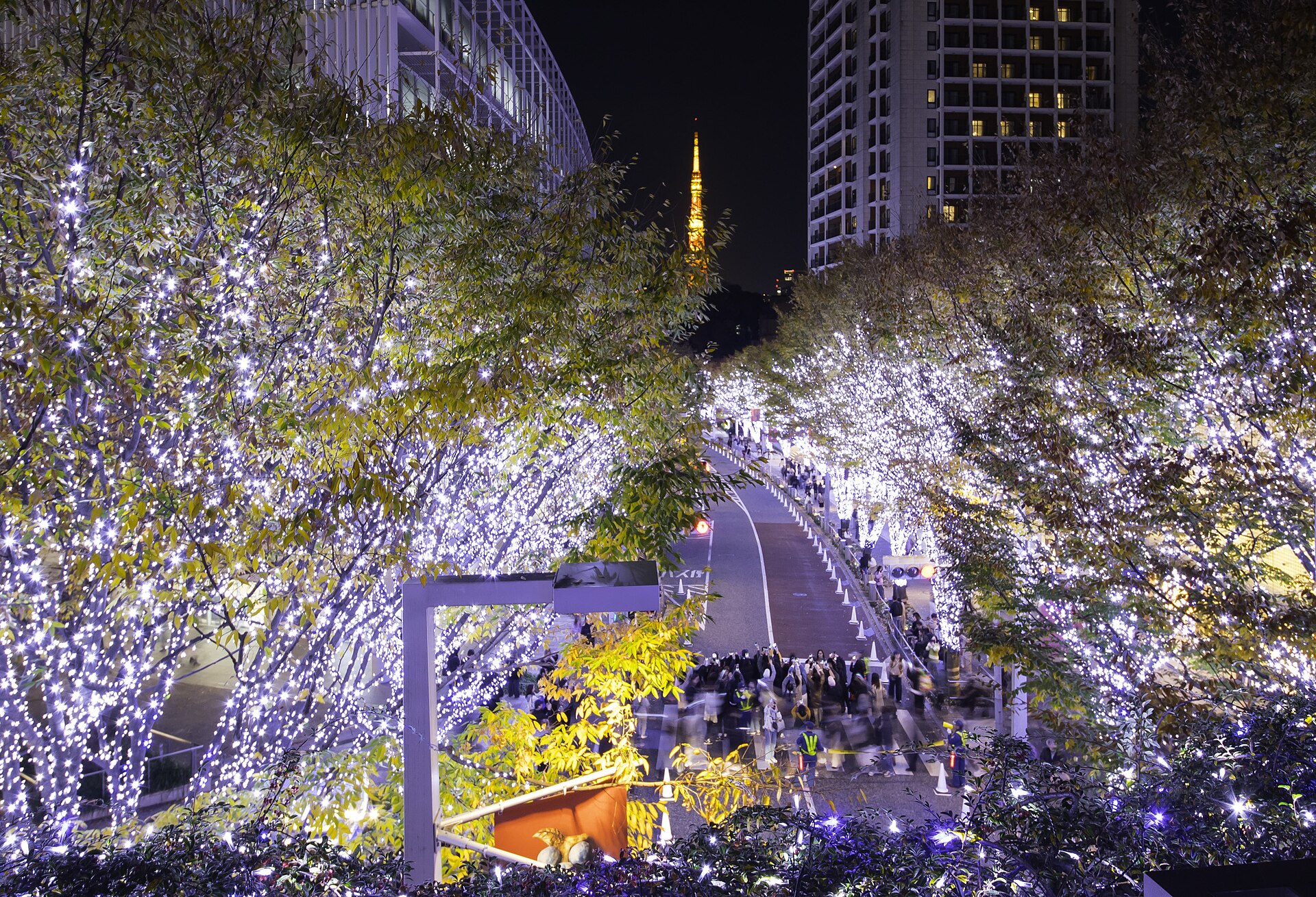けやき坂イルミネーションと東京タワー（2024年撮影）