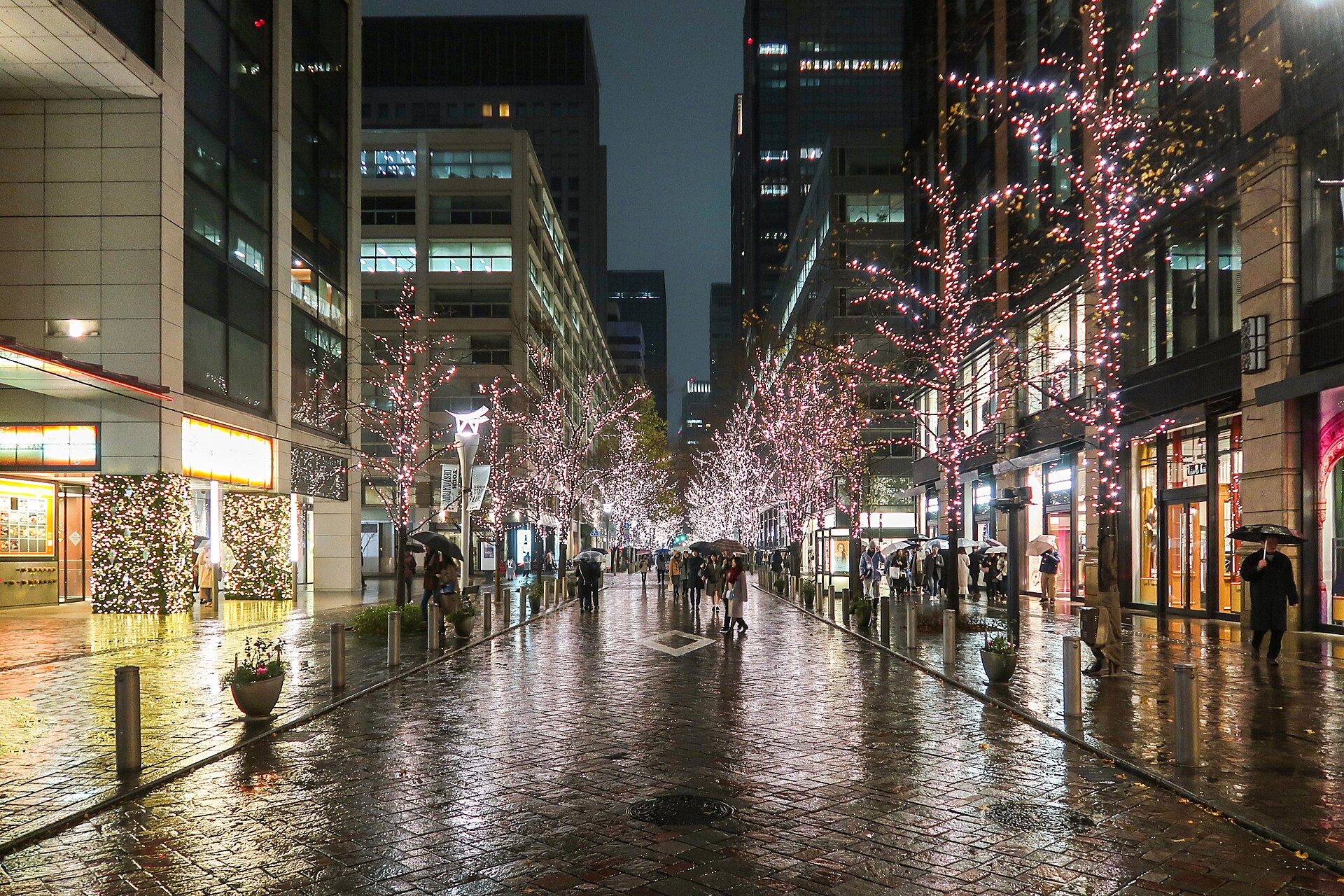 丸の内仲通りの夜のイルミネーション（2019年撮影）