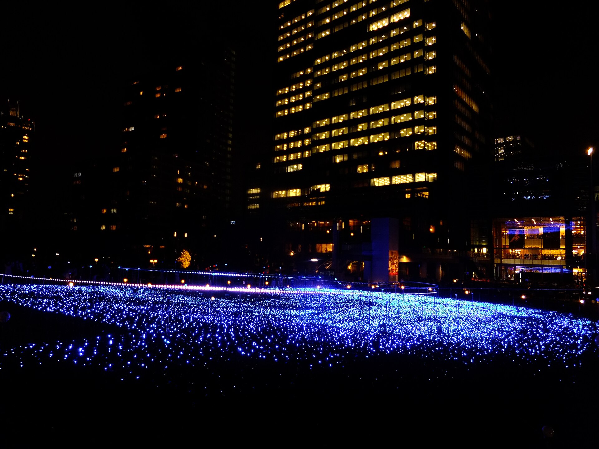 東京ミッドタウンの芝生広場のクリスマスイルミネーション（2014年撮影）