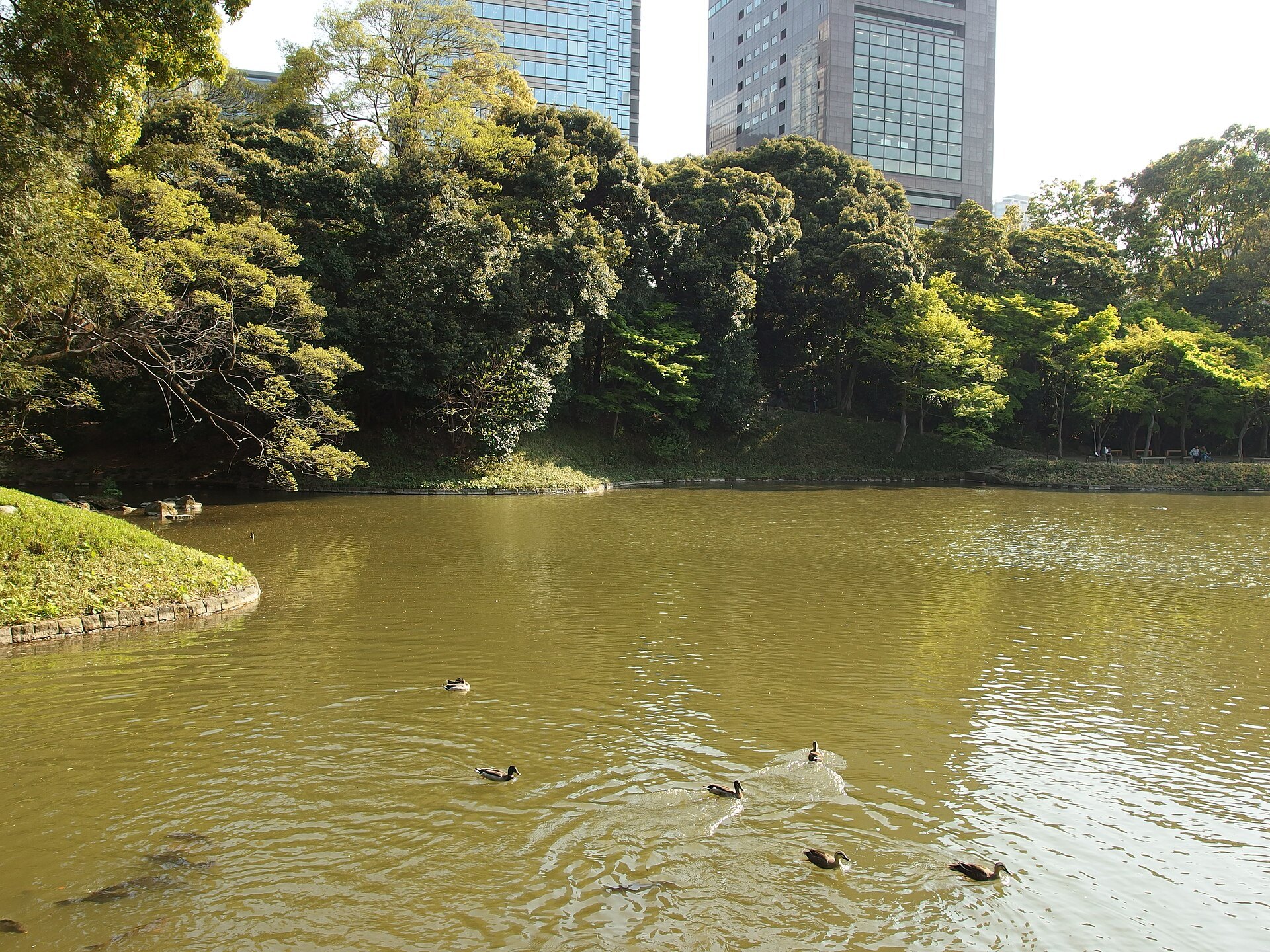 小石川後楽園の大泉水